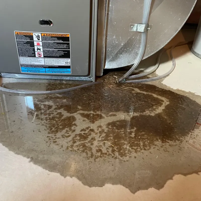 Appliance Leak Cleanup in Mason County, KY
