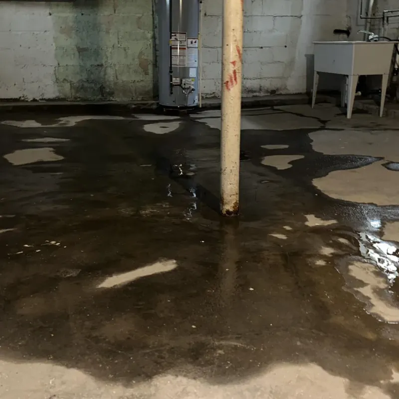 Emergency Water Extraction And Removal in Mason County, KY